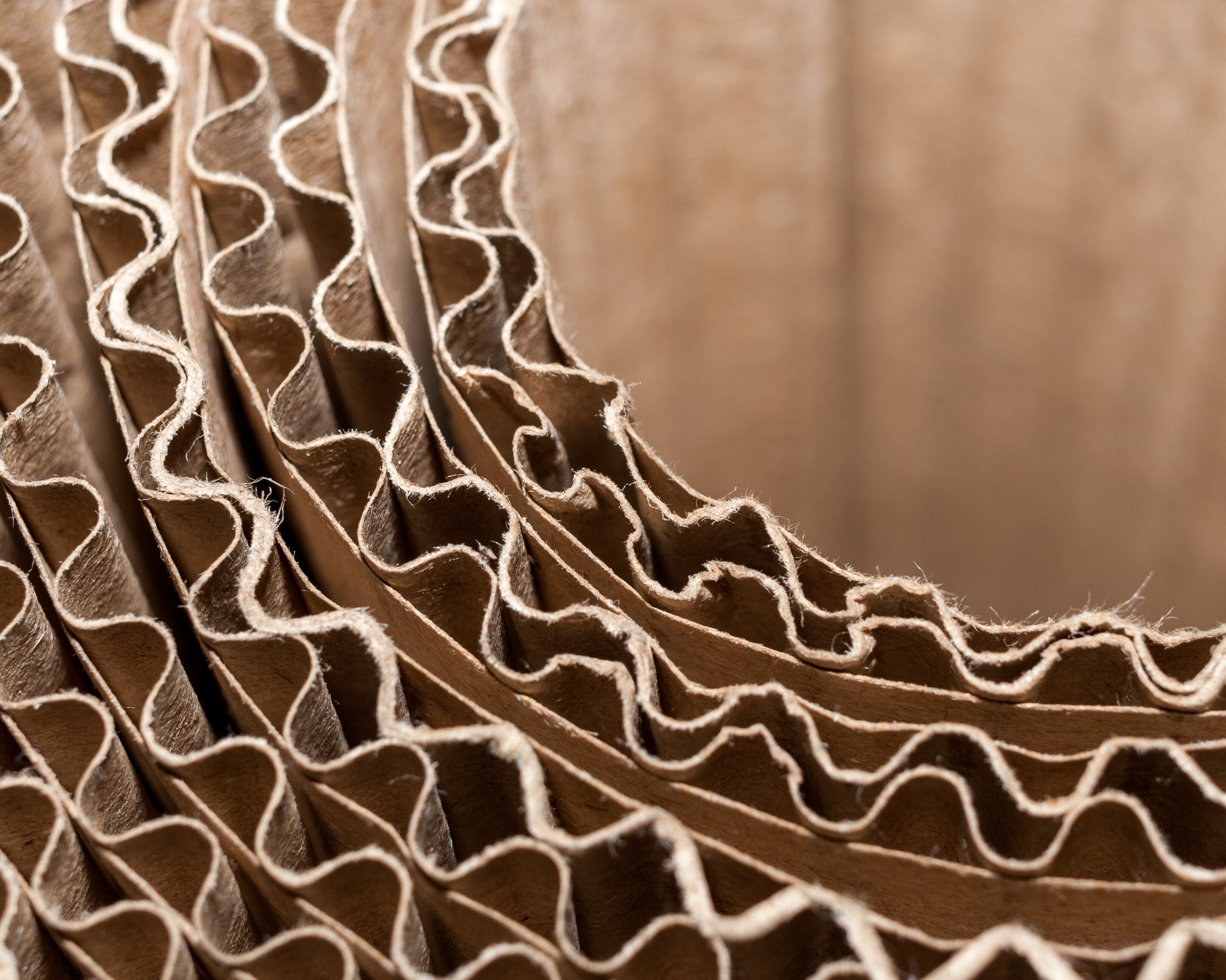 Paper & Corrugating Paper & Corrugating