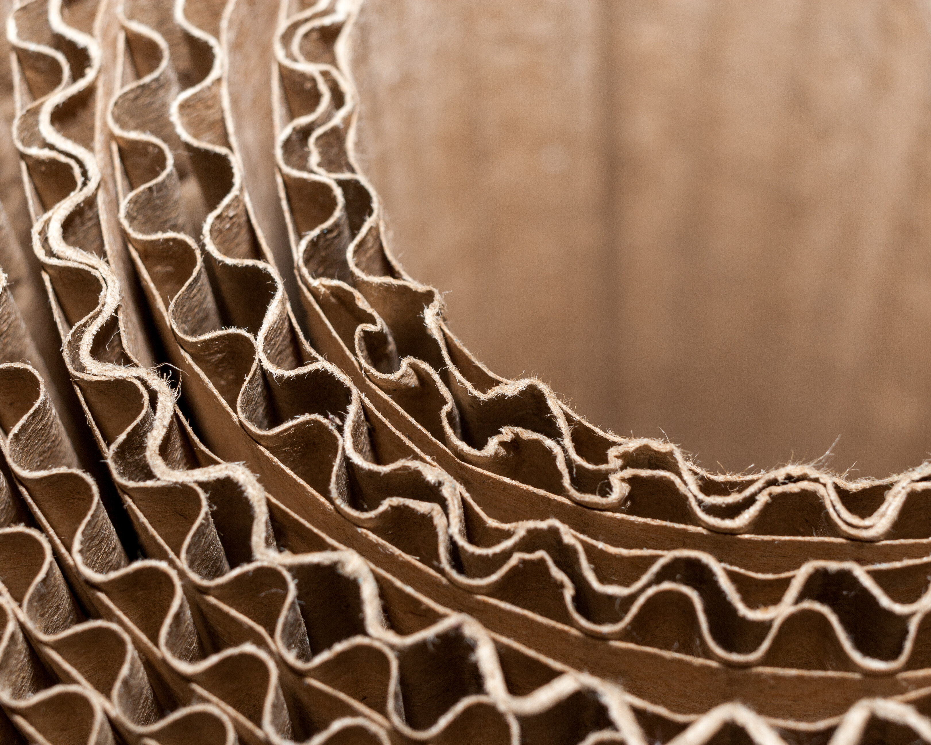 Paper And Corrugating Paper And Corrugating